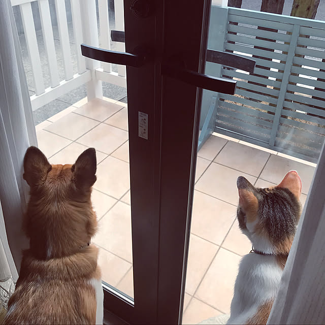 mimaさんの実例写真