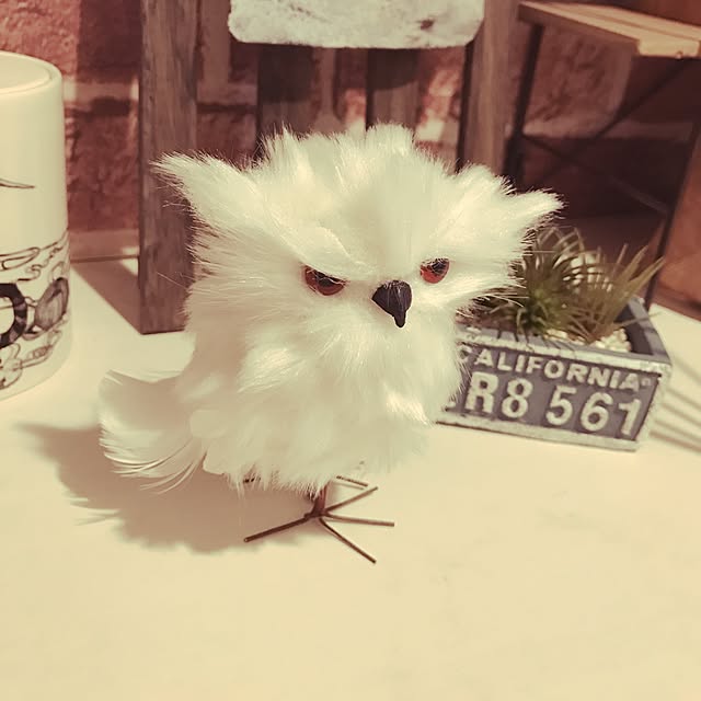 324leiさんの実例写真