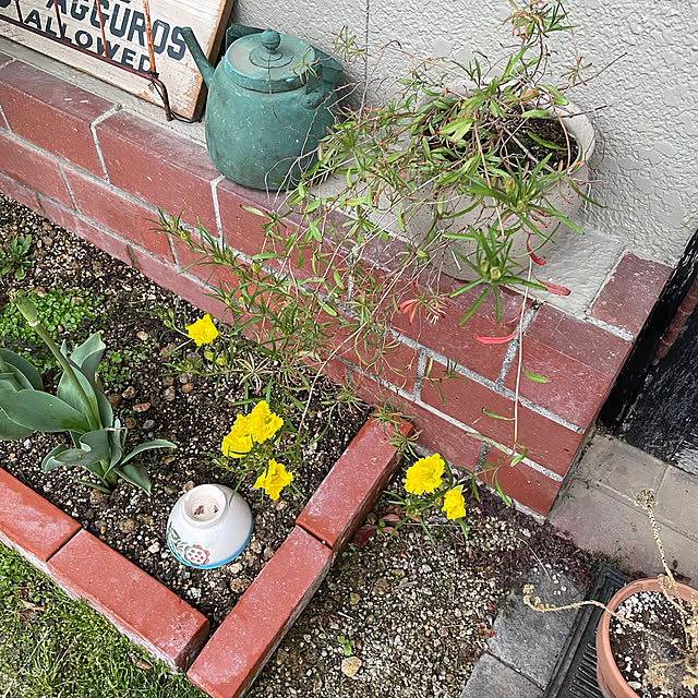 shin0719さんの部屋