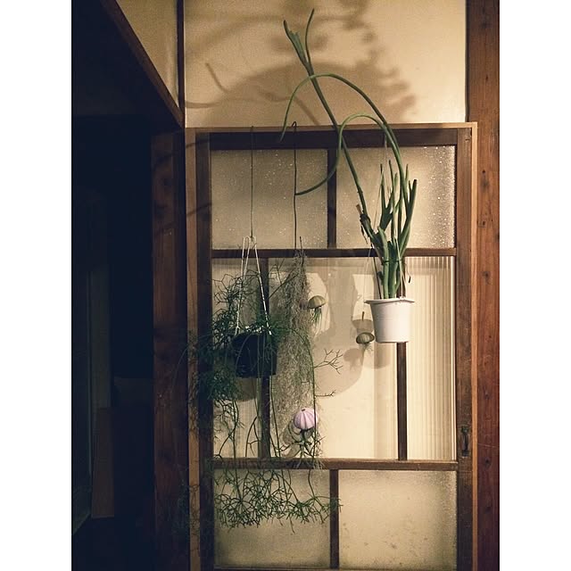 fukainosokoさんの実例写真
