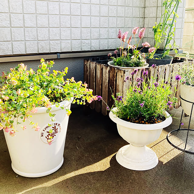 minminさんの部屋