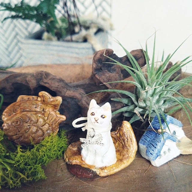 MIPORINNさんの実例写真