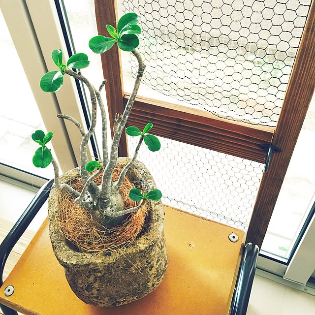marley0209さんの実例写真