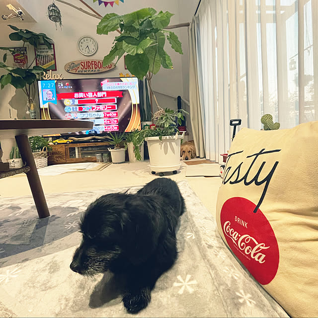 marinkoさんの実例写真