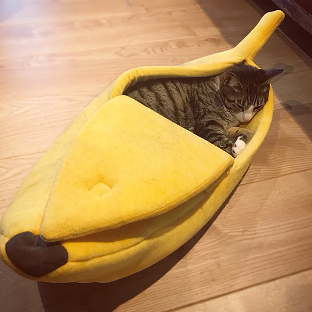 blackcatさんの実例写真