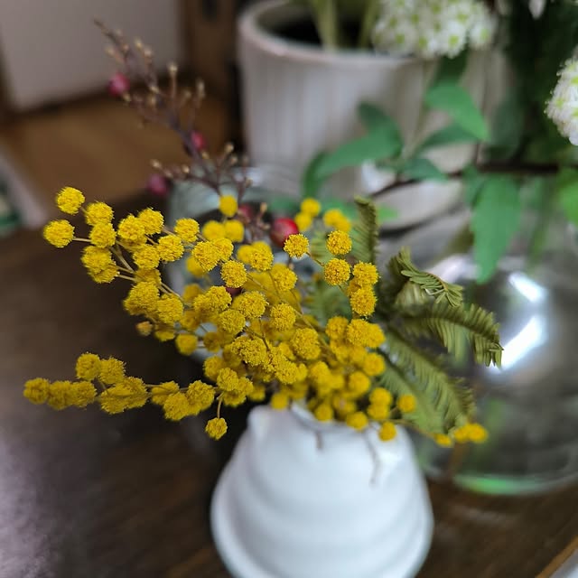 koyutan-mjmさんの部屋