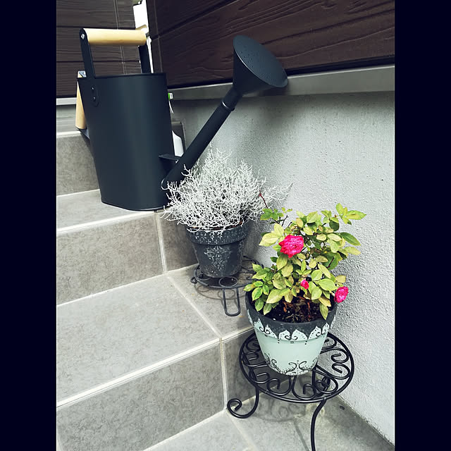 3838さんの実例写真