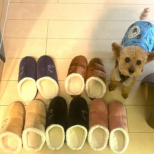 Mandyさんの実例写真