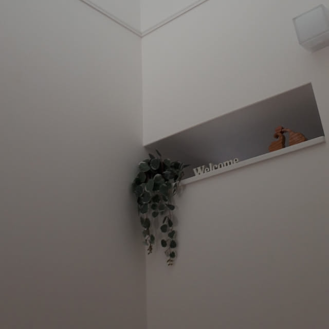 anmomaruさんの実例写真