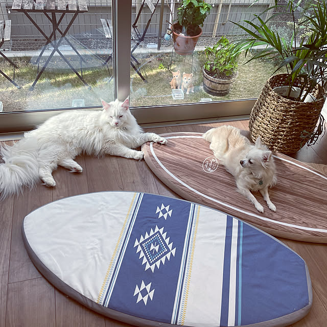 Lionaさんの実例写真