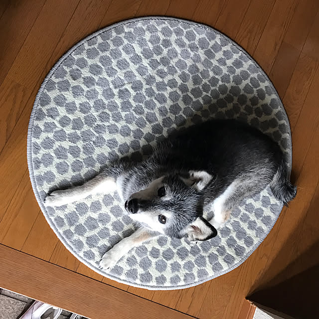 yukoyukoさんの実例写真