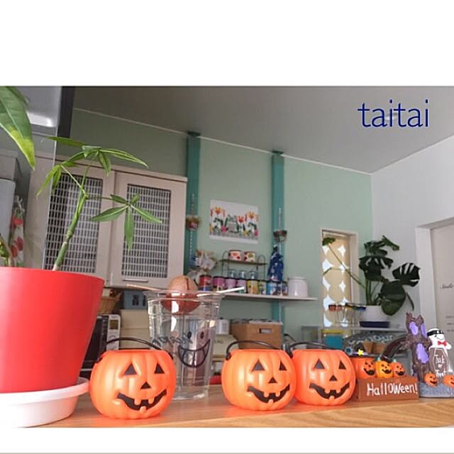 taitaiさんの実例写真