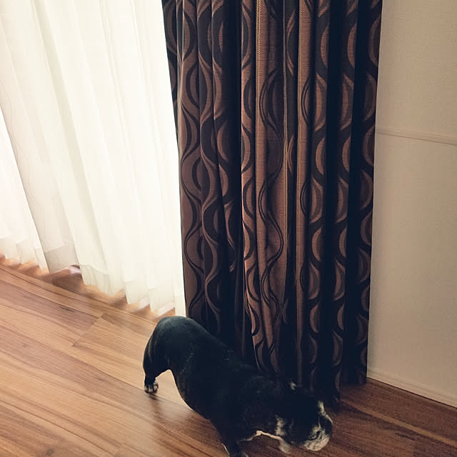 makironさんの実例写真