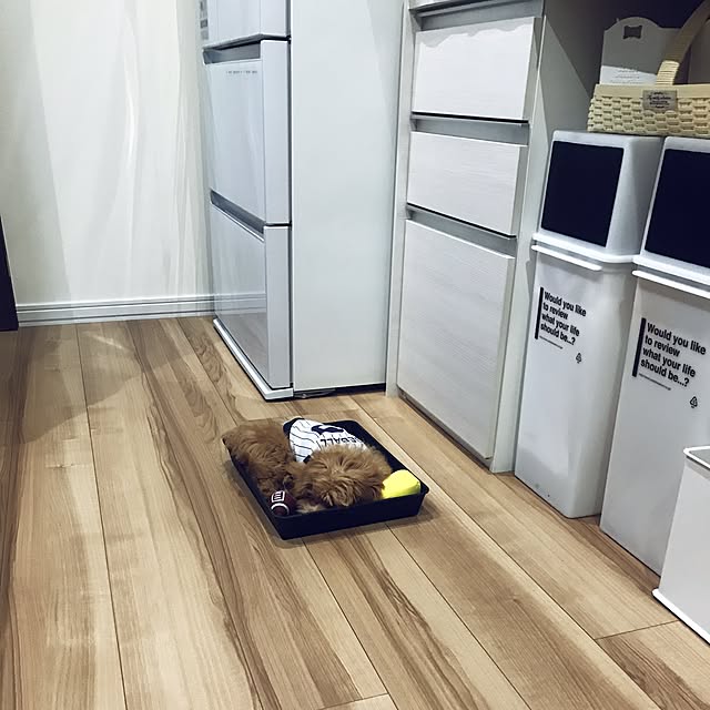 ikt.tamaさんの実例写真