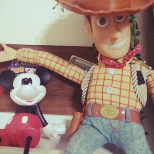 kuusannさんの実例写真