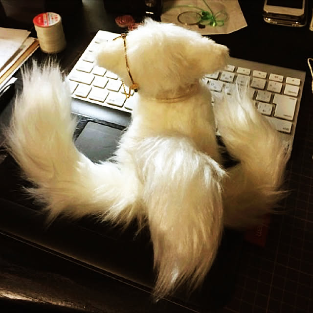 mer_le_noirさんの実例写真
