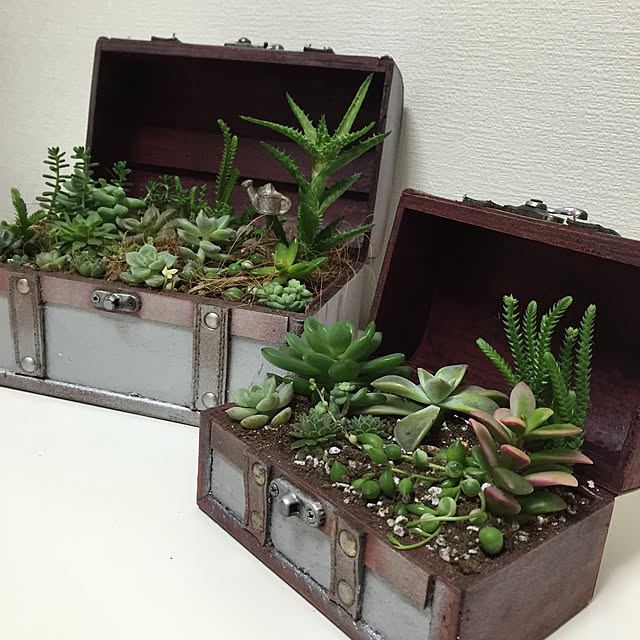 y.frvr.ks-lvyuiさんの実例写真