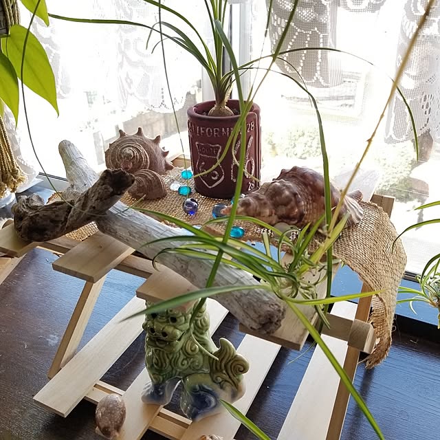 midoriさんの部屋