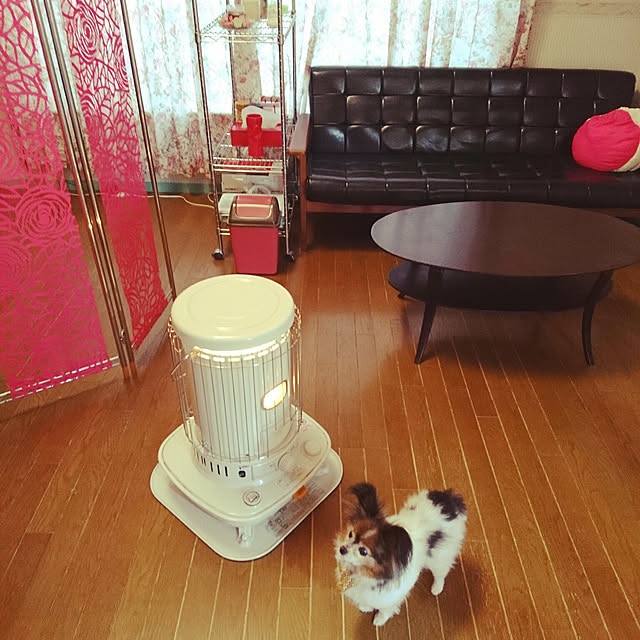 Linostyleさんの実例写真