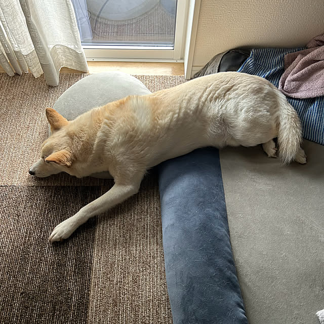 tanboさんの部屋