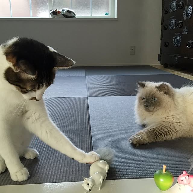 yuchiさんの実例写真