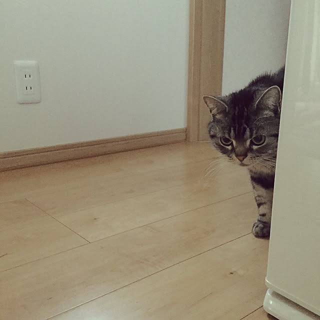 richanさんの実例写真
