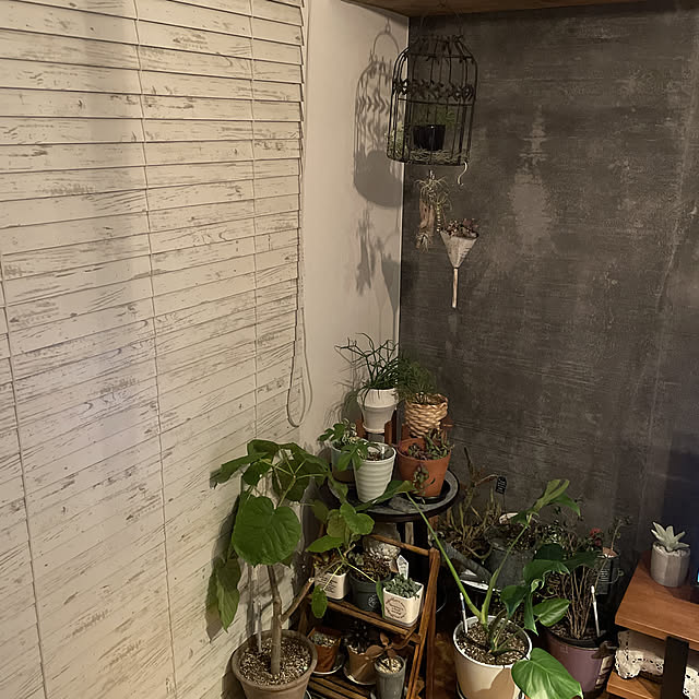 fgtomatoes0560さんの実例写真