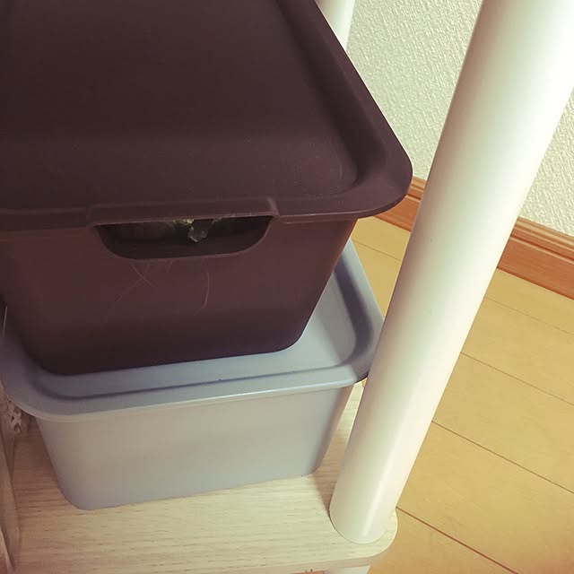 miaさんの実例写真