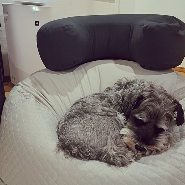 toro_roomさんの実例写真