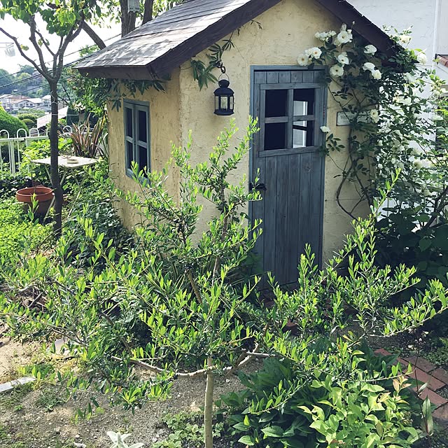 naonaoさんの実例写真