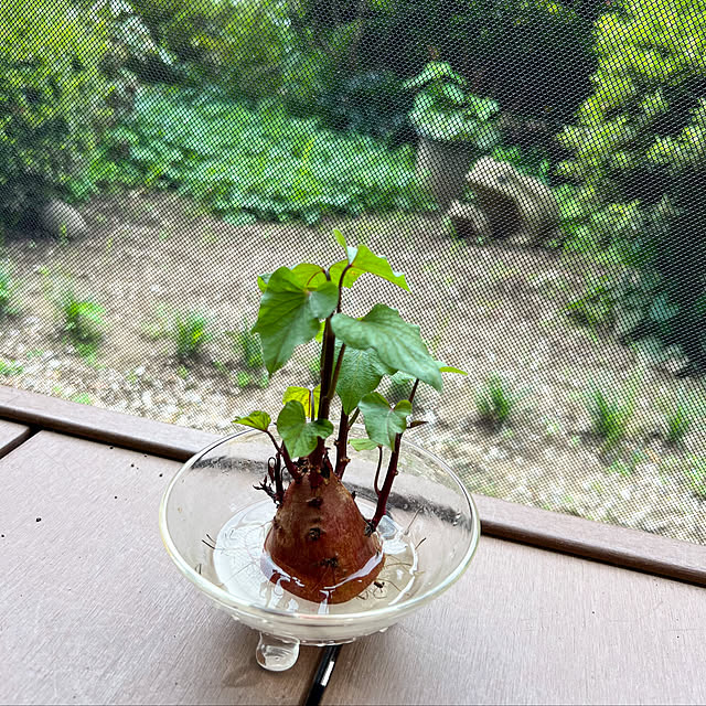pinochoさんの実例写真