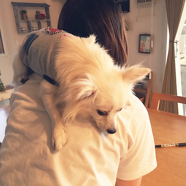 macoさんの実例写真