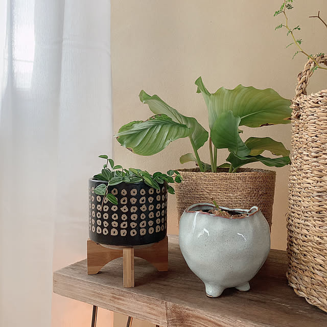 nao.roomさんの部屋
