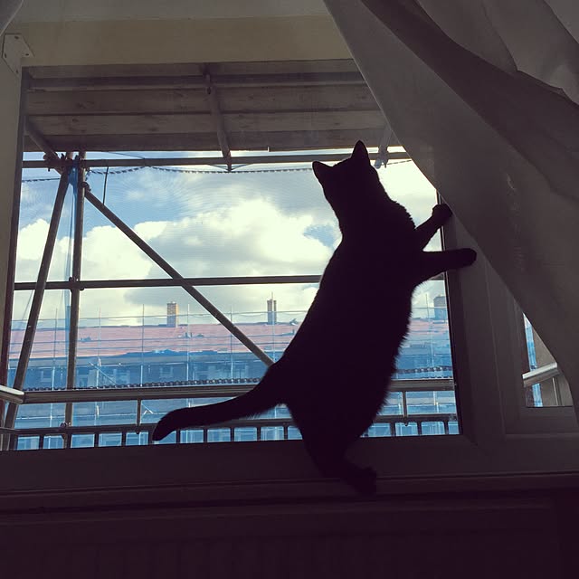 awachan77さんの実例写真