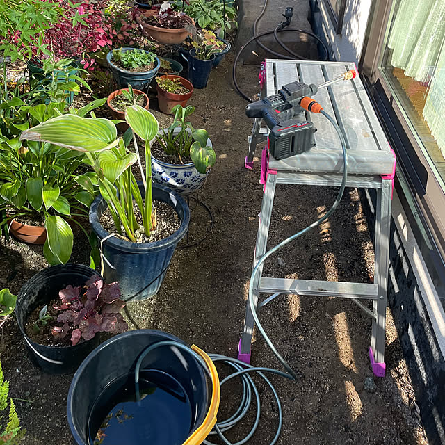 buchiさんの部屋