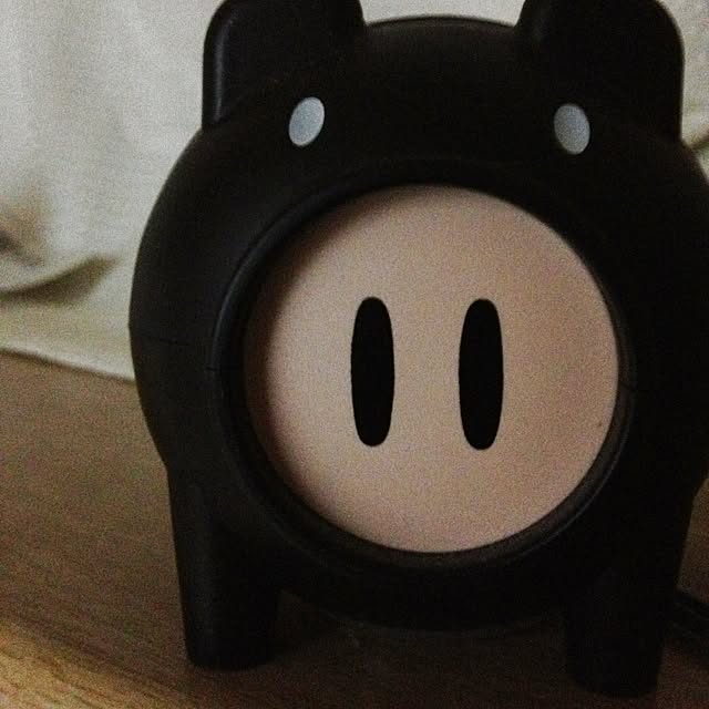 naoさんの実例写真