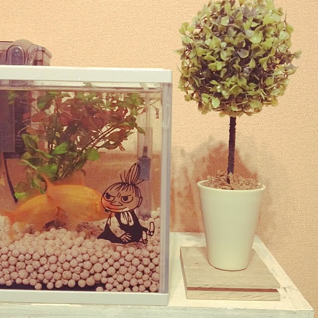 ayumiさんの実例写真