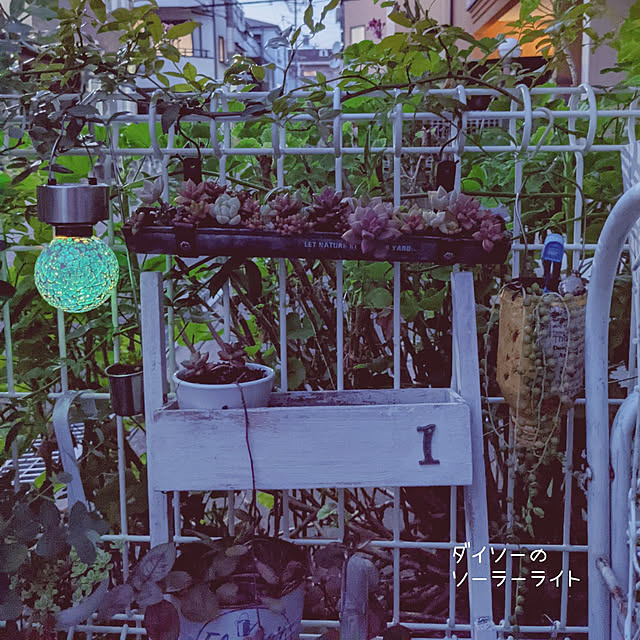 junさんの実例写真