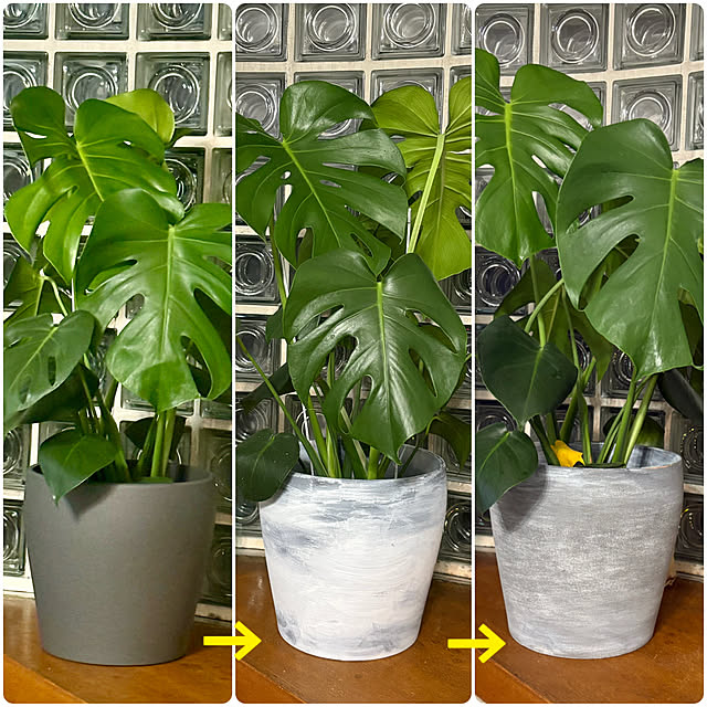 harumiさんの実例写真