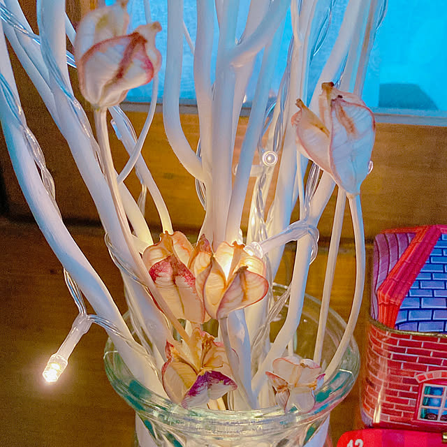 Hanakaさんの部屋