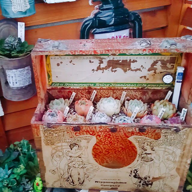 hana4504さんの実例写真
