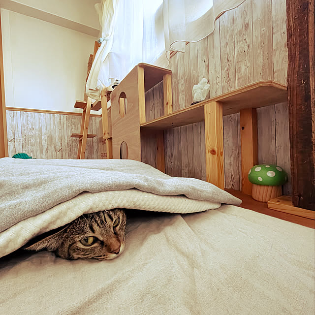 Mさんの実例写真