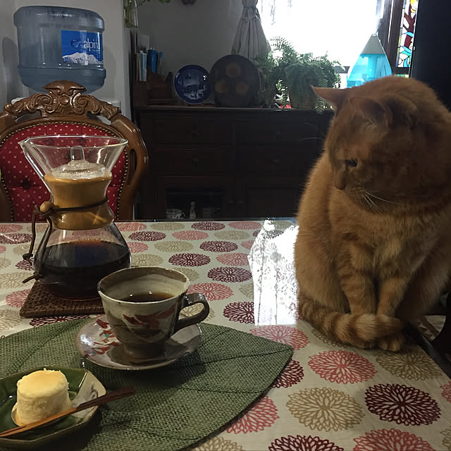 sleptcatさんの実例写真