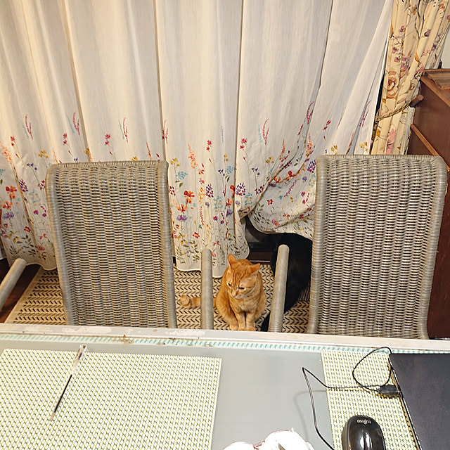 okyosan101さんの実例写真