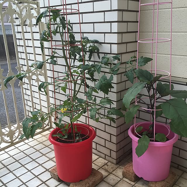 hatsumiさんの実例写真