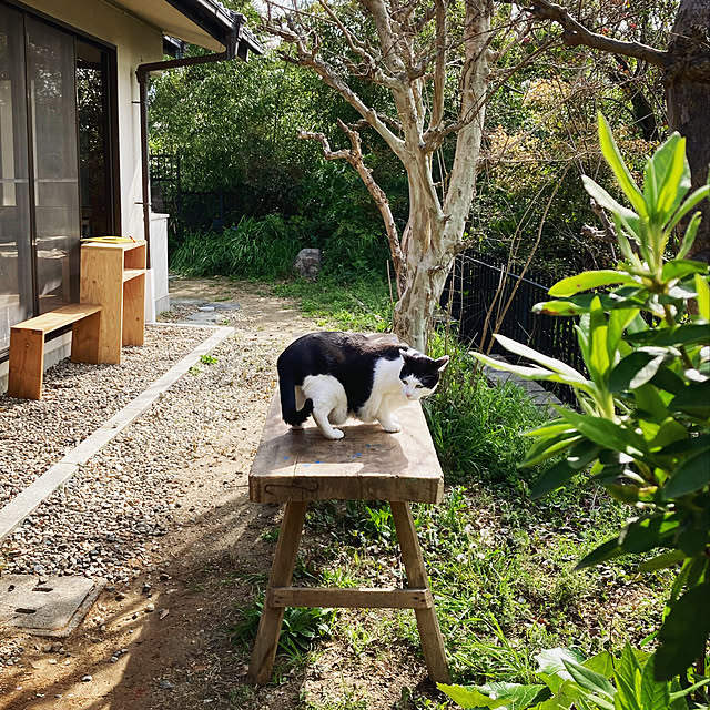 pan.gava_houseさんの実例写真