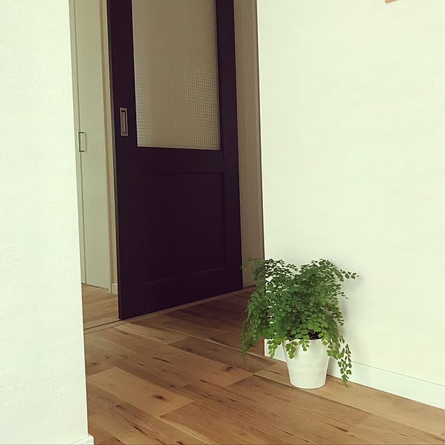 ojyoさんの実例写真