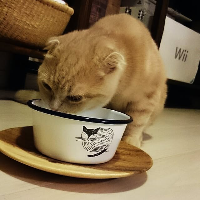 MarshmallowMuffinさんの実例写真