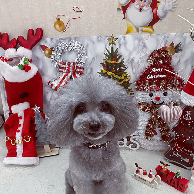 kaoさんの実例写真