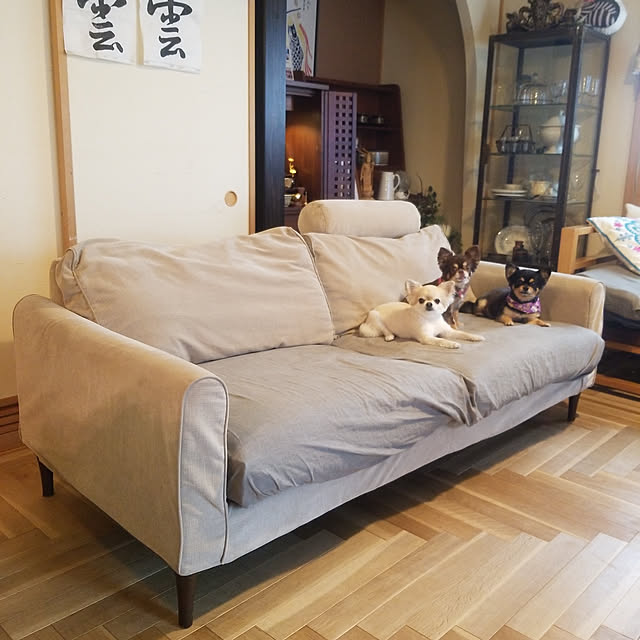 Mucchiさんの実例写真